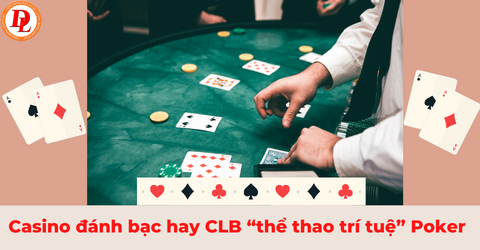 Khám phá Salad Đại Chiến cực hấp dẫn cùng cách thưởng thức Salad Đại Chiến đúng chuẩn