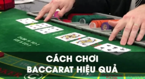 Cập nhật mới nhất về baomoi bong da và tin tức thể thao hấp dẫn hôm nay