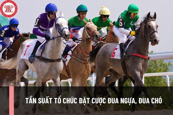 Khám phá cơ hội thắng lớn tại game 52 club và trải nghiệm game 52 club đỉnh cao